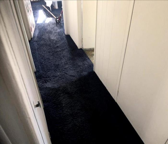 hallway with wet carpet 