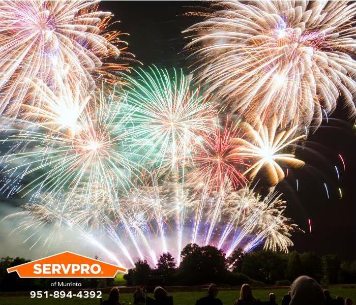 People watch a large fireworks display in a public park.