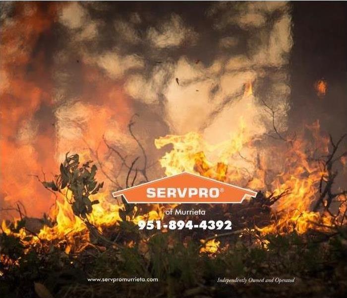 wildfire in brush