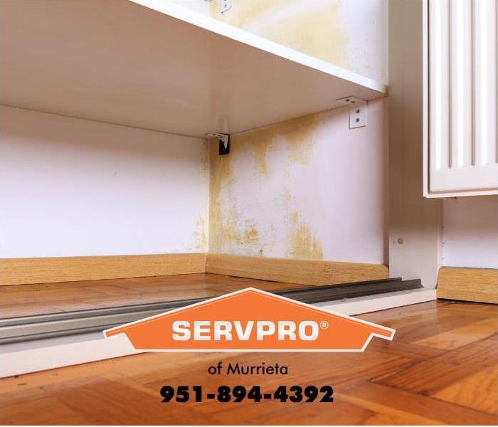 Mold is shown growing on the wall inside of a shelving unit.