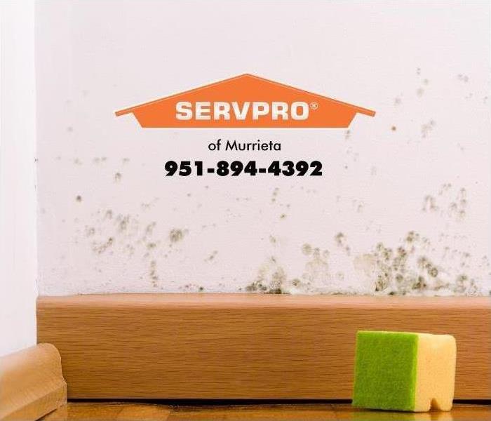 mold on the wall