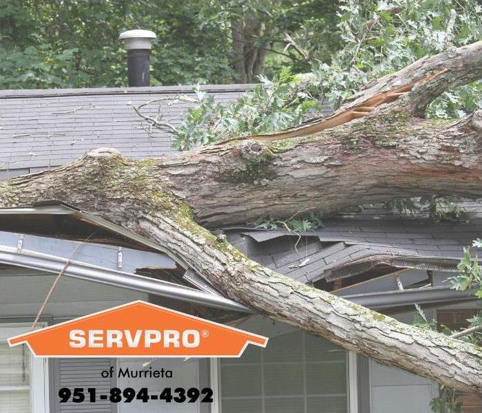 tree on house from wind damage