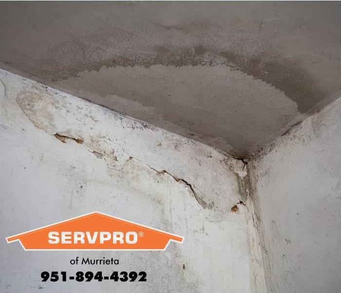 mold growth on wall