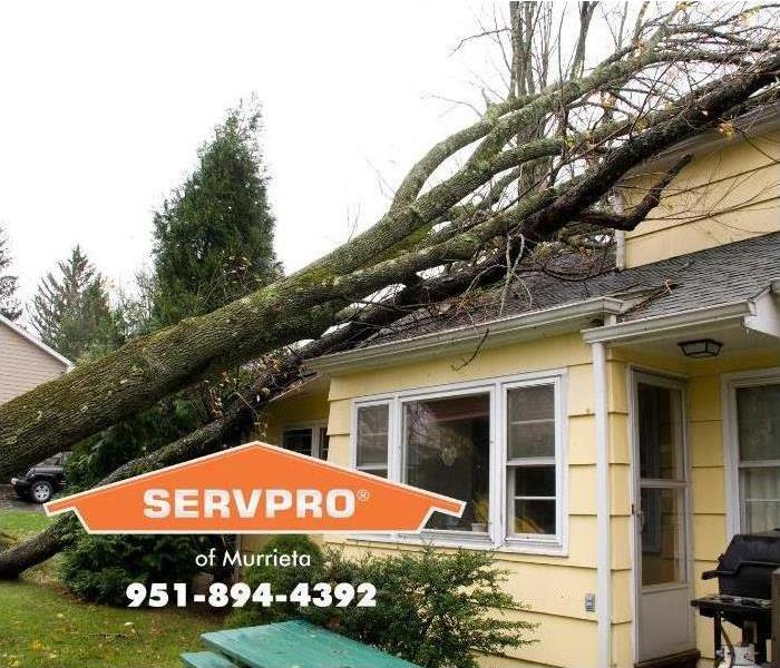 home with fallen tree on it.