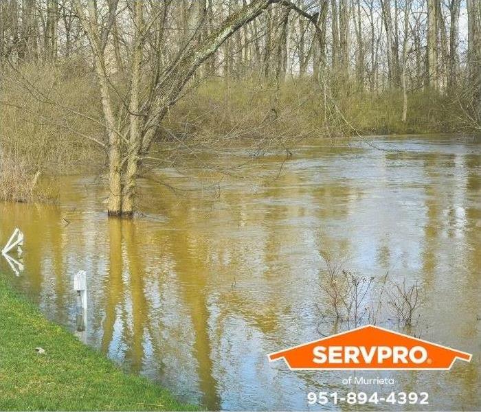 A creek has overflown its banks.