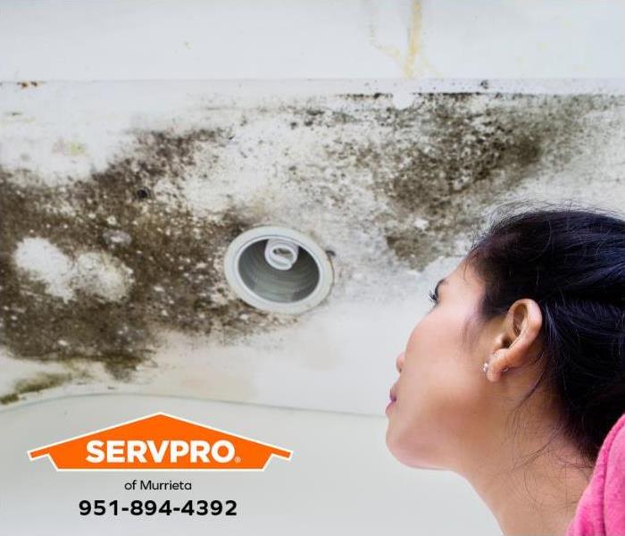 A person discovers mold growing on the ceiling.