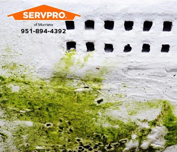 Mold grows next to an air vent.
