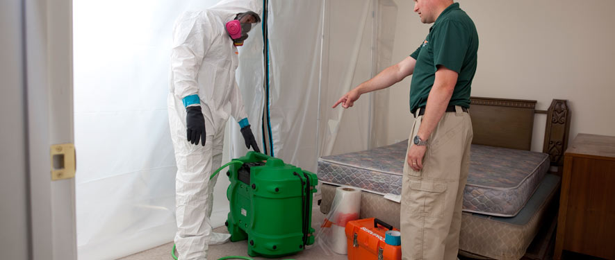 Murrieta, CA mold removal process